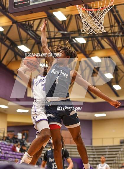 Thumbnail 1 in Pine Tree @ Hallsville photogallery.