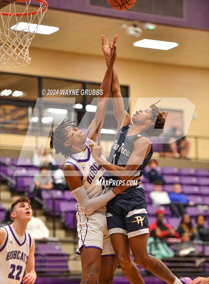 Thumbnail 1 in Pine Tree @ Hallsville photogallery.