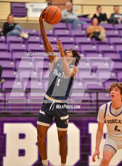 Thumbnail 2 in Pine Tree @ Hallsville photogallery.