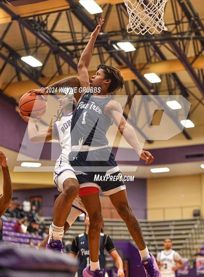 Thumbnail 3 in Pine Tree @ Hallsville photogallery.