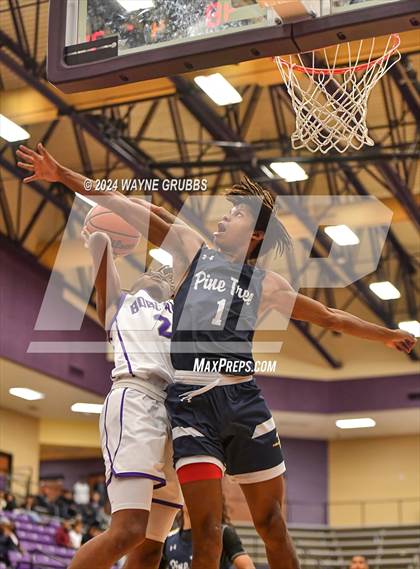 Thumbnail 2 in Pine Tree @ Hallsville photogallery.