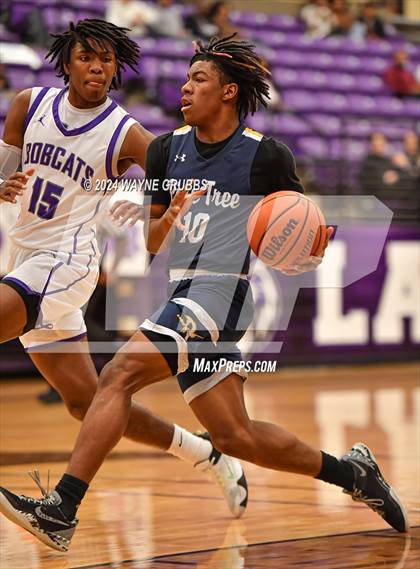 Thumbnail 3 in Pine Tree @ Hallsville photogallery.