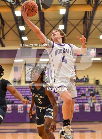 Thumbnail 3 in Pine Tree @ Hallsville photogallery.