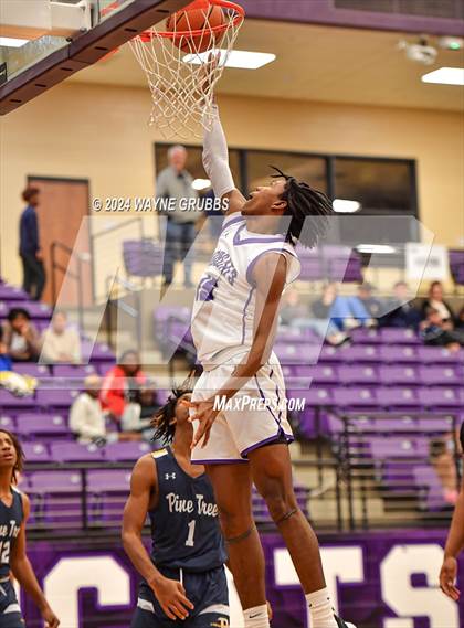 Thumbnail 1 in Pine Tree @ Hallsville photogallery.