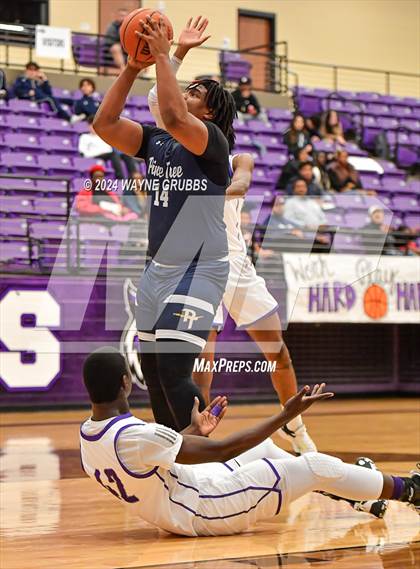 Thumbnail 3 in Pine Tree @ Hallsville photogallery.