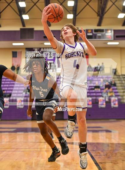 Thumbnail 2 in Pine Tree @ Hallsville photogallery.