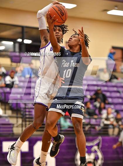 Thumbnail 1 in Pine Tree @ Hallsville photogallery.