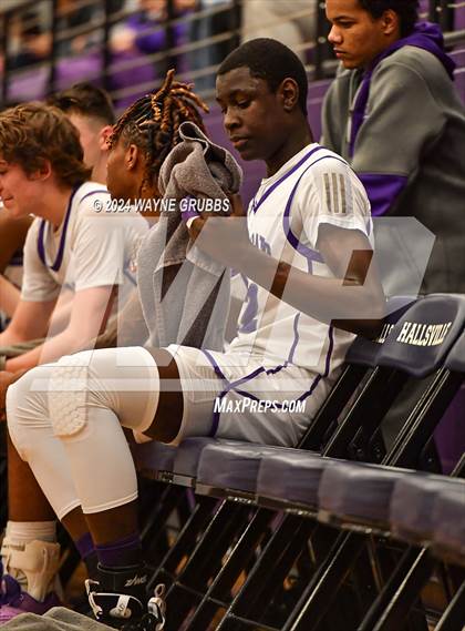 Thumbnail 2 in Pine Tree @ Hallsville photogallery.