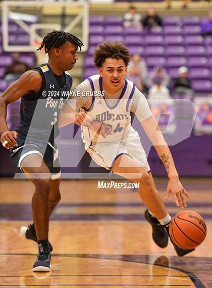 Thumbnail 2 in Pine Tree @ Hallsville photogallery.