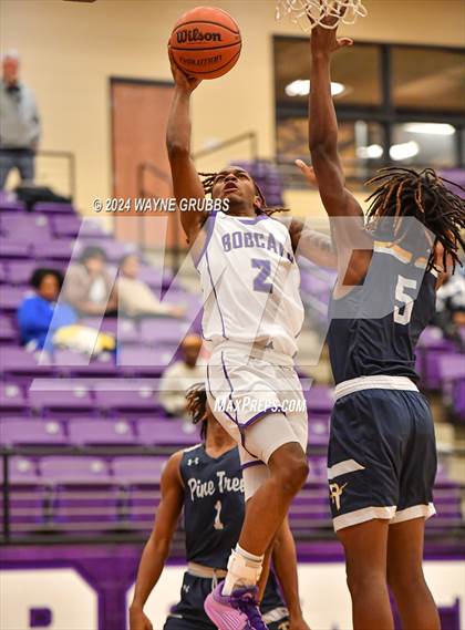 Thumbnail 1 in Pine Tree @ Hallsville photogallery.