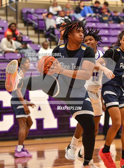 Thumbnail 2 in Pine Tree @ Hallsville photogallery.