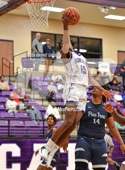 Thumbnail 2 in Pine Tree @ Hallsville photogallery.