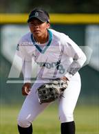 Photo from the gallery "Elk Grove @ Sheldon"