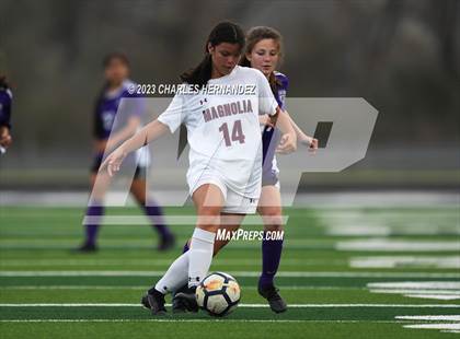 Thumbnail 3 in Magnolia @ College Station photogallery.