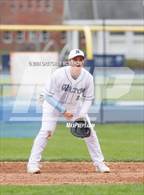 Photo from the gallery "Warde @ Wilton"