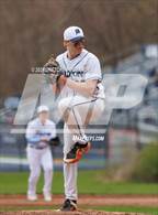 Photo from the gallery "Warde @ Wilton"