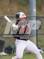 Photo from the gallery "Warde @ Wilton"