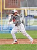 Photo from the gallery "Warde @ Wilton"