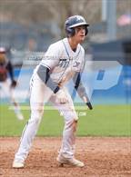Photo from the gallery "Warde @ Wilton"