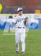 Photo from the gallery "Warde @ Wilton"