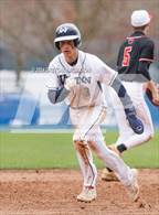 Photo from the gallery "Warde @ Wilton"