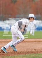 Photo from the gallery "Warde @ Wilton"