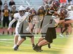 Photo from the gallery "North Haven @ Sheehan"