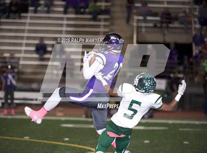 Thumbnail 2 in Taylor @ Boerne photogallery.