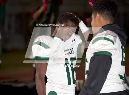 Thumbnail 2 in Taylor @ Boerne photogallery.