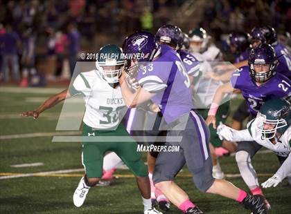 Thumbnail 3 in Taylor @ Boerne photogallery.