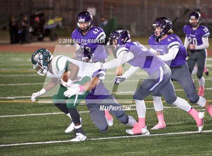 Thumbnail 2 in Taylor @ Boerne photogallery.