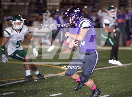 Thumbnail 2 in Taylor @ Boerne photogallery.