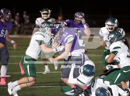 Thumbnail 2 in Taylor @ Boerne photogallery.