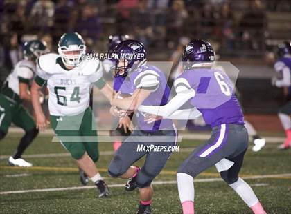 Thumbnail 2 in Taylor @ Boerne photogallery.