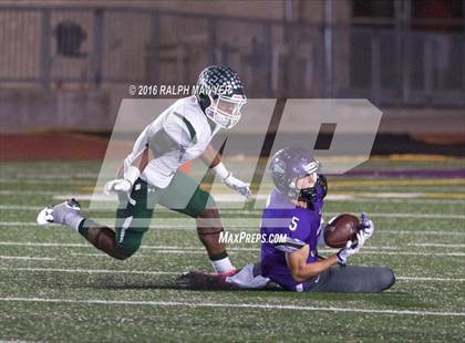 Thumbnail 1 in Taylor @ Boerne photogallery.