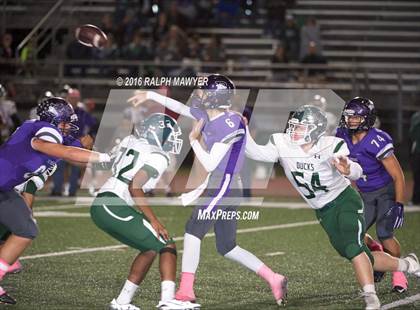 Thumbnail 2 in Taylor @ Boerne photogallery.