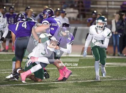 Thumbnail 1 in Taylor @ Boerne photogallery.
