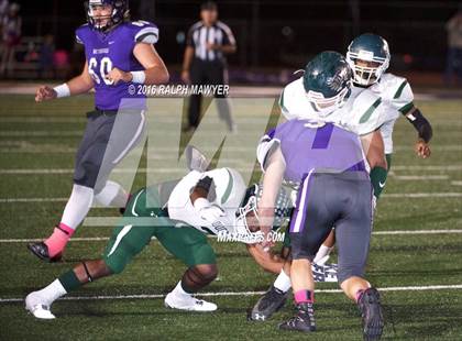 Thumbnail 3 in Taylor @ Boerne photogallery.