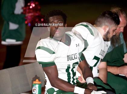 Thumbnail 3 in Taylor @ Boerne photogallery.