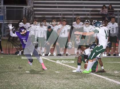 Thumbnail 2 in Taylor @ Boerne photogallery.