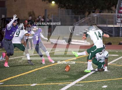 Thumbnail 3 in Taylor @ Boerne photogallery.