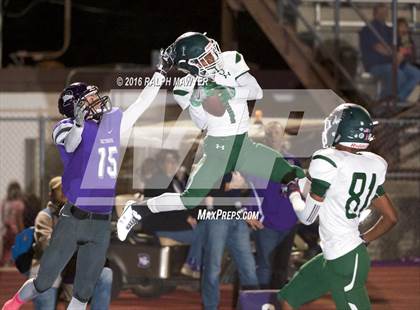 Thumbnail 3 in Taylor @ Boerne photogallery.