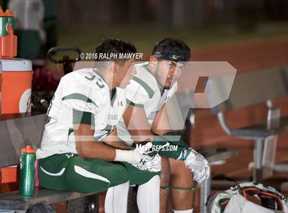 Thumbnail 1 in Taylor @ Boerne photogallery.