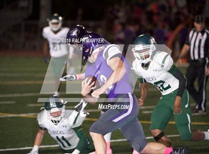 Thumbnail 1 in Taylor @ Boerne photogallery.
