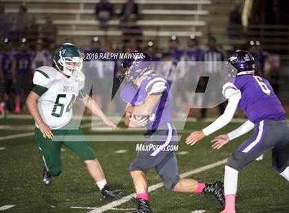 Thumbnail 1 in Taylor @ Boerne photogallery.