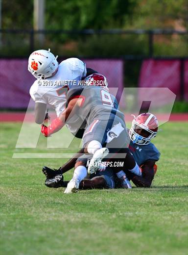 null - Photo 11