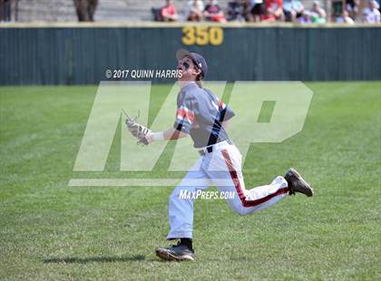 Thumbnail 3 in Andrean vs St Rita (Dolt Stevie's Way 219) photogallery.