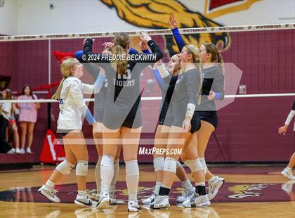 Thumbnail 2 in Gunter @ Whitesboro photogallery.