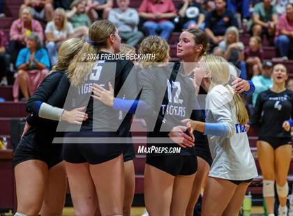 Thumbnail 2 in Gunter @ Whitesboro photogallery.