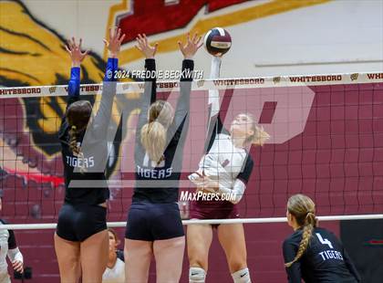 Thumbnail 1 in Gunter @ Whitesboro photogallery.